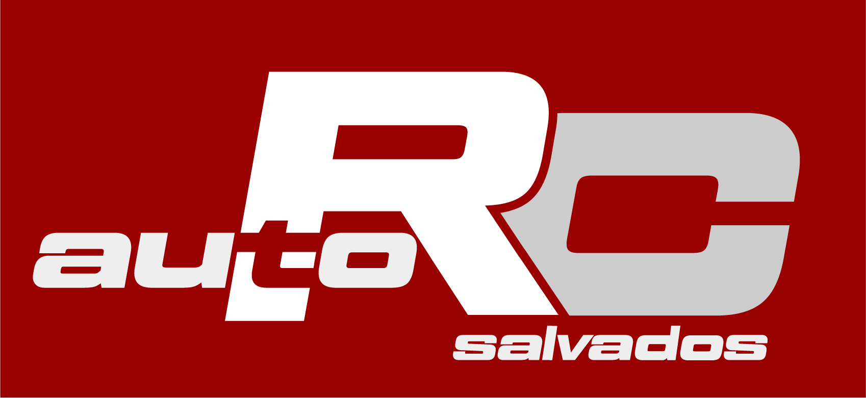 Auto RC Salvados
